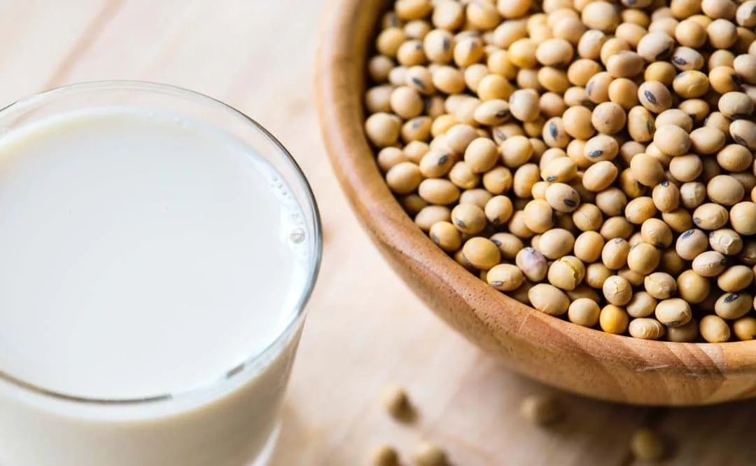 Grain Milk – The Ideal Vegan Drink and Milk Substitute?