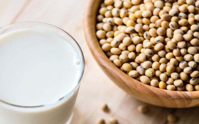 Grain Milk – The Ideal Vegan Drink and Milk Substitute?