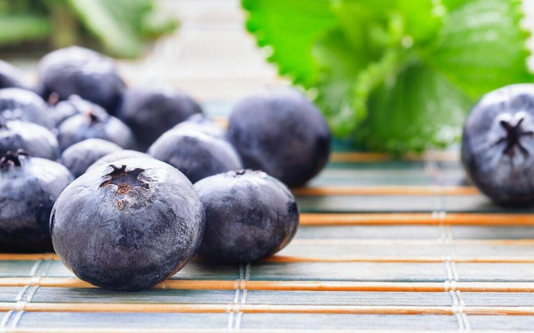 Are Wild Blueberries A Superfood For Dementia?